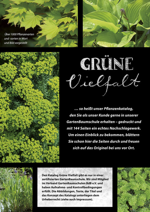 Gartenbaumschulen Katalog Mein Paradies Katalog